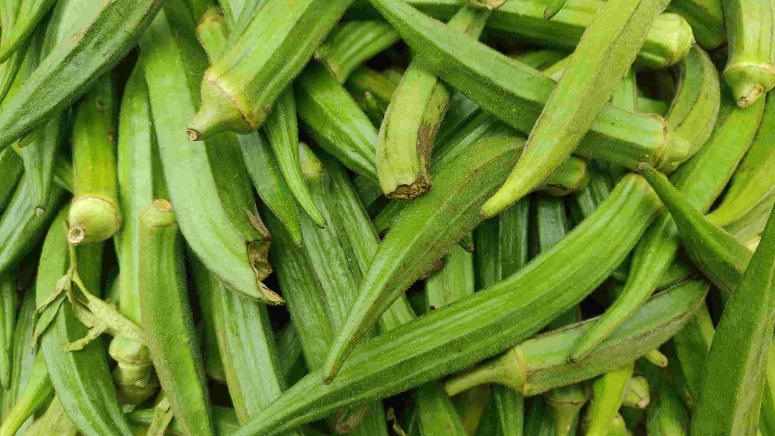 The-5-Benefits-of-Drinking-Okra-Water